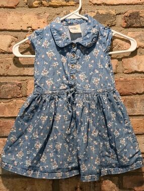 OshKosh B'gosh Genuine Light Blue Floral Denim Jean Dress, Size 4T